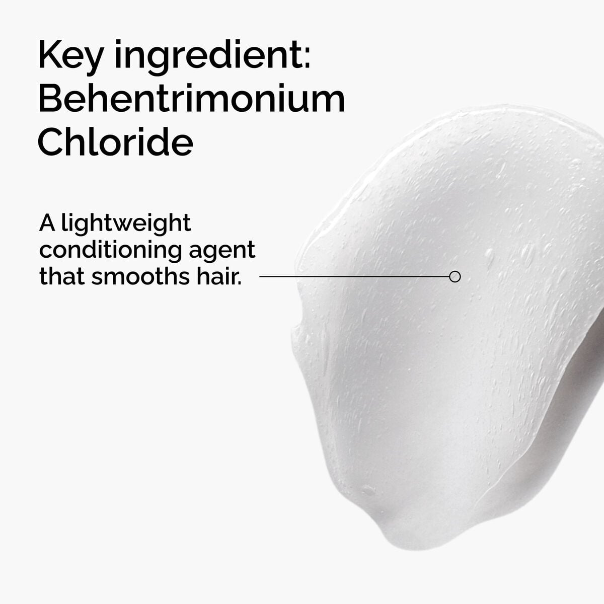 behentrimonium-chloride-2-conditioner-l3 FY25-D41247-ORD-Web-PDP-BTC-1x1-EN-2a.jpg