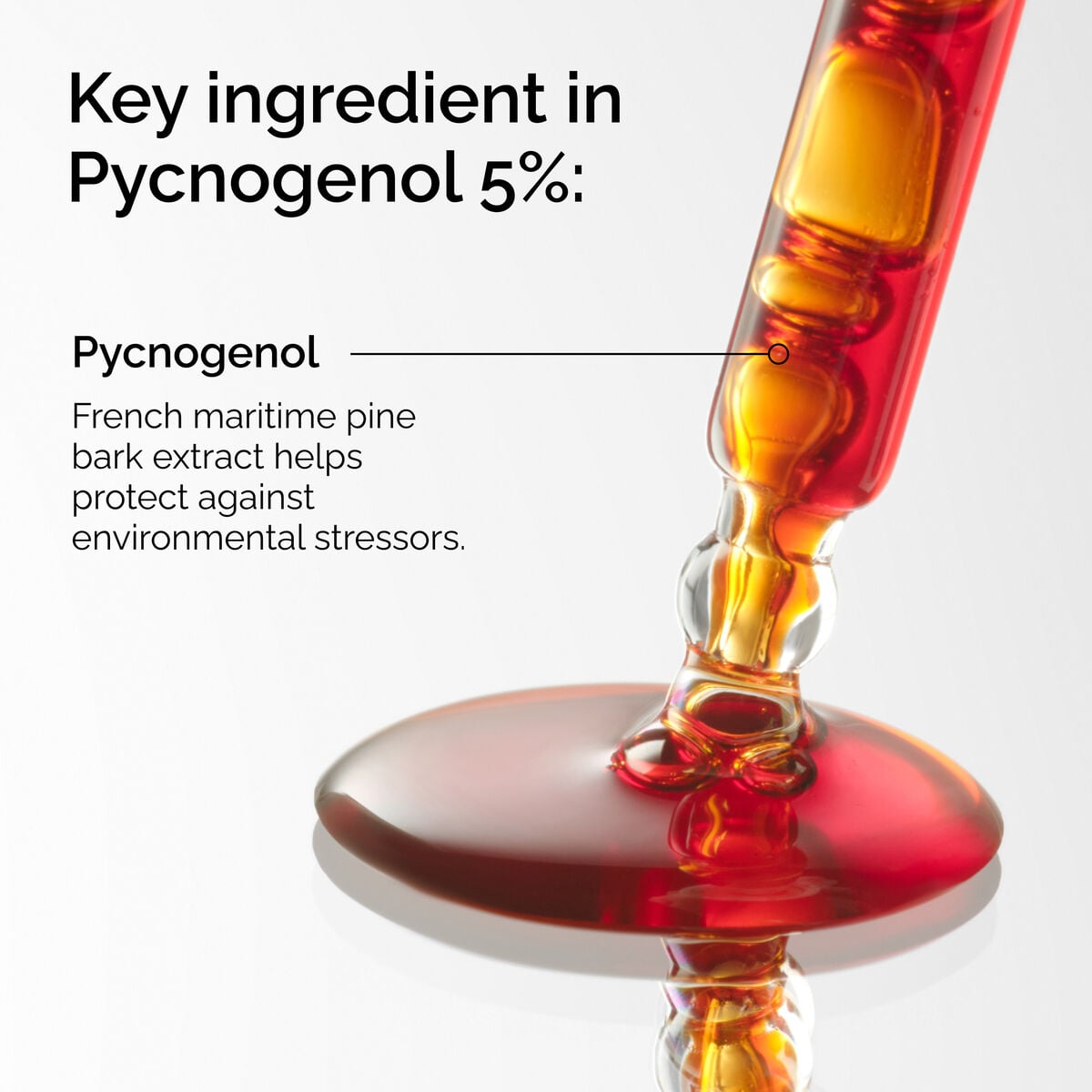 pycnogenol-5-k7 FY25-D41247-ORD-Web-PDP-Pyc-5pct-1x1-EN-2a.jpg