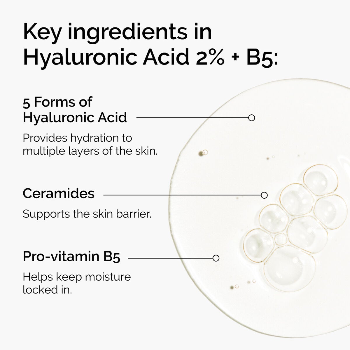 hyaluronic-acid-2-b5-with-ceramides-x2 ord-hyaluronic-acid-2pct-b5-hydrating-serum-ingredients-graphic.jpg