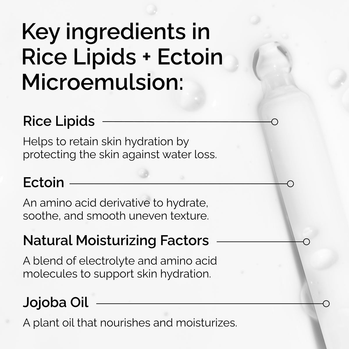 rice-lipids-ectoin-microemulsion-b5 ord-rice-lipids-ectoin-microemulsion-key-ingredients.png