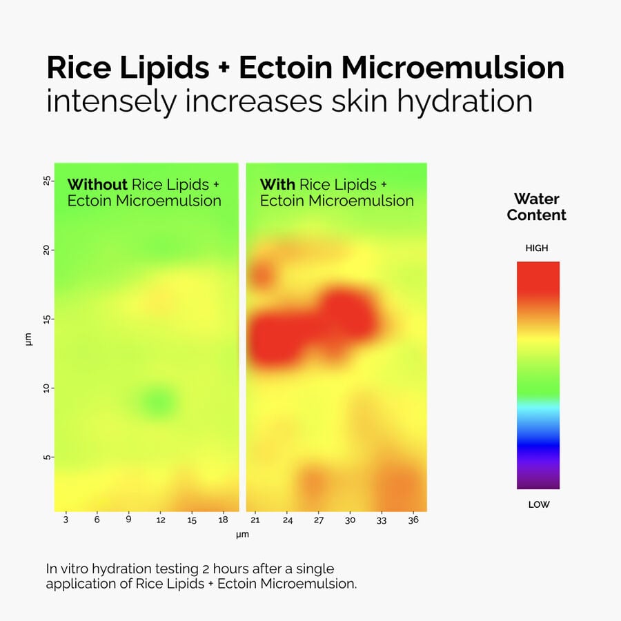 rice-lipids-ectoin-microemulsion-b5 ord-rice-lipids-ectoin-microemulsion-thermal-before-after.jpg